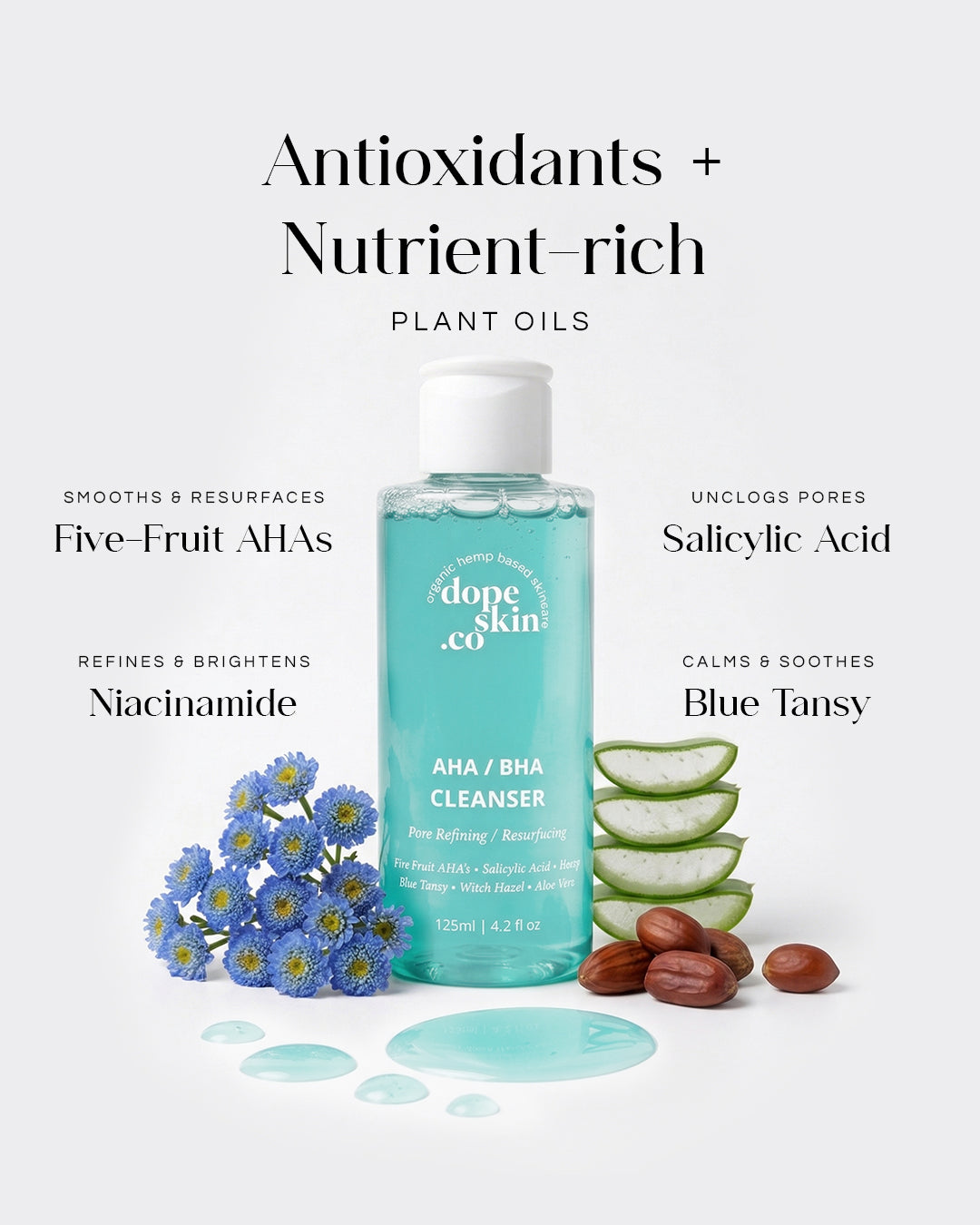 AHA / BHA Exfoliating Cleanser